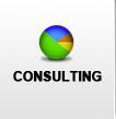 Consulting